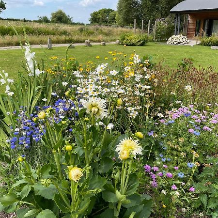 Foxglove Glastonbury Ngoại thất bức ảnh